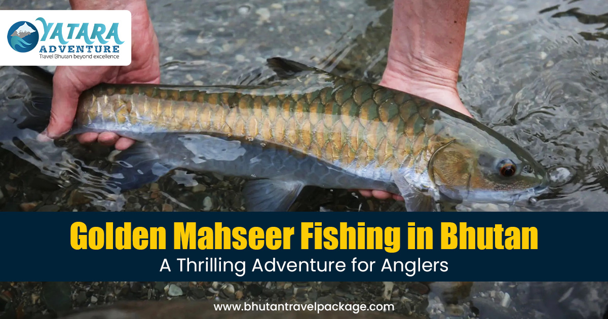 Golden Mahseer Fishing in Bhutan: A Thrilling Adventure for Anglers