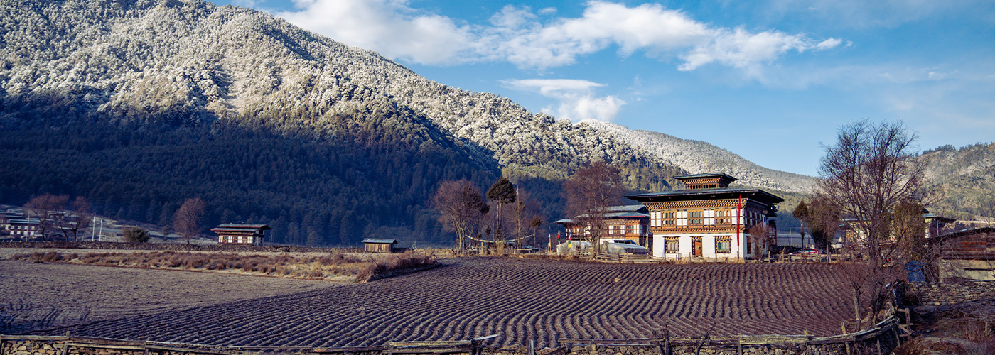 Phobjikha