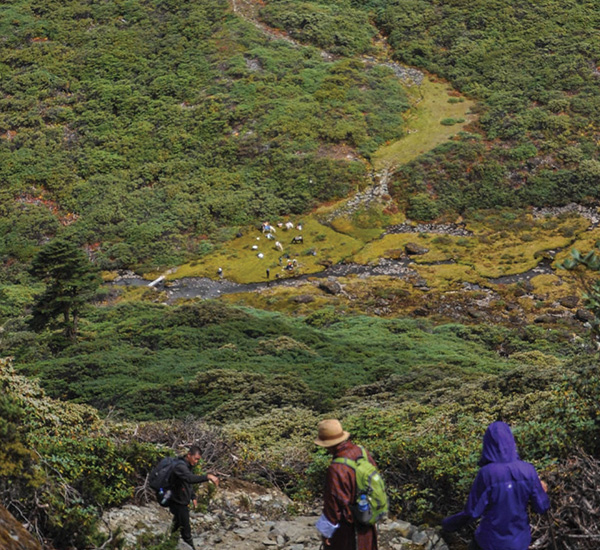 Rodung La Trek