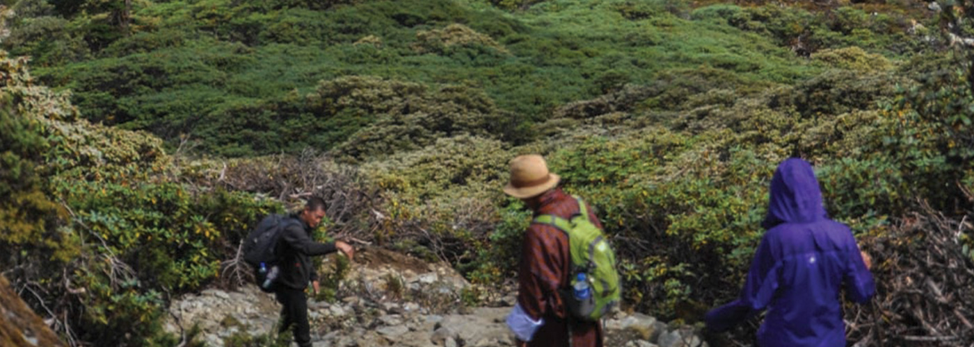 Rodung La Trek