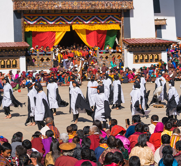 Black-Necked Crane Festival Tour