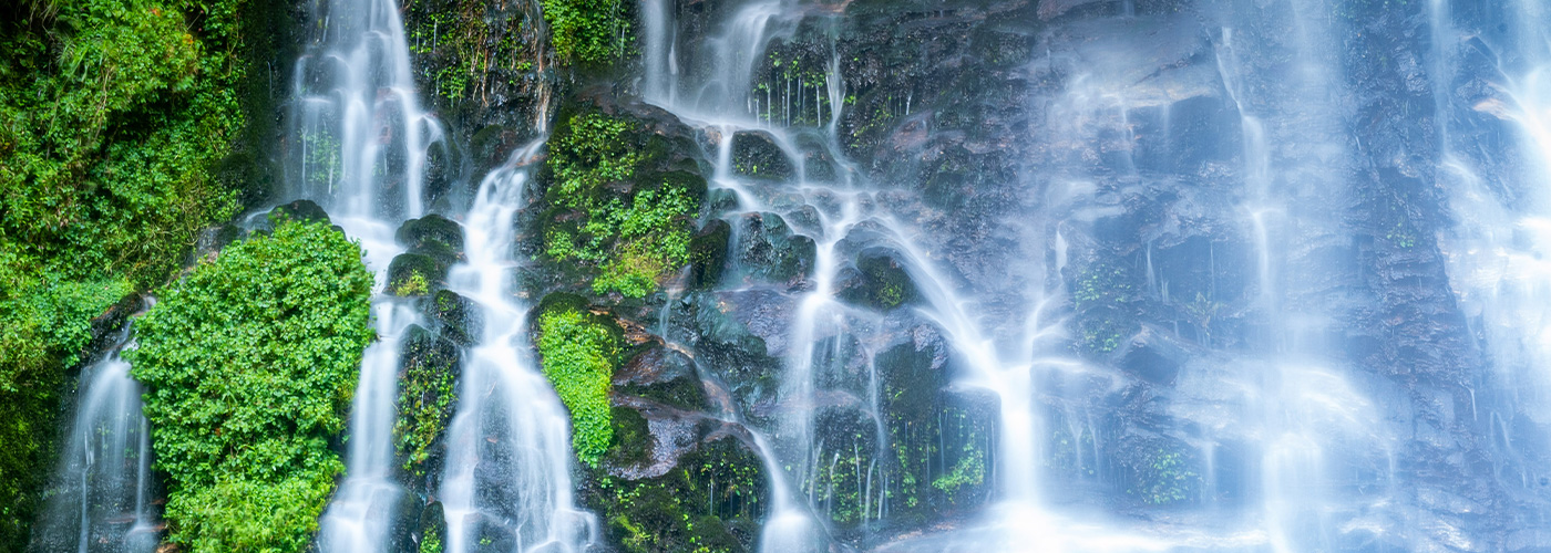 Bhutan Waterfall Wonderland: Rivers, Falls & Forests