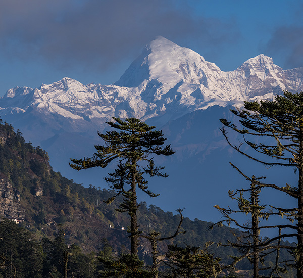 Druk Path Luxury Trek