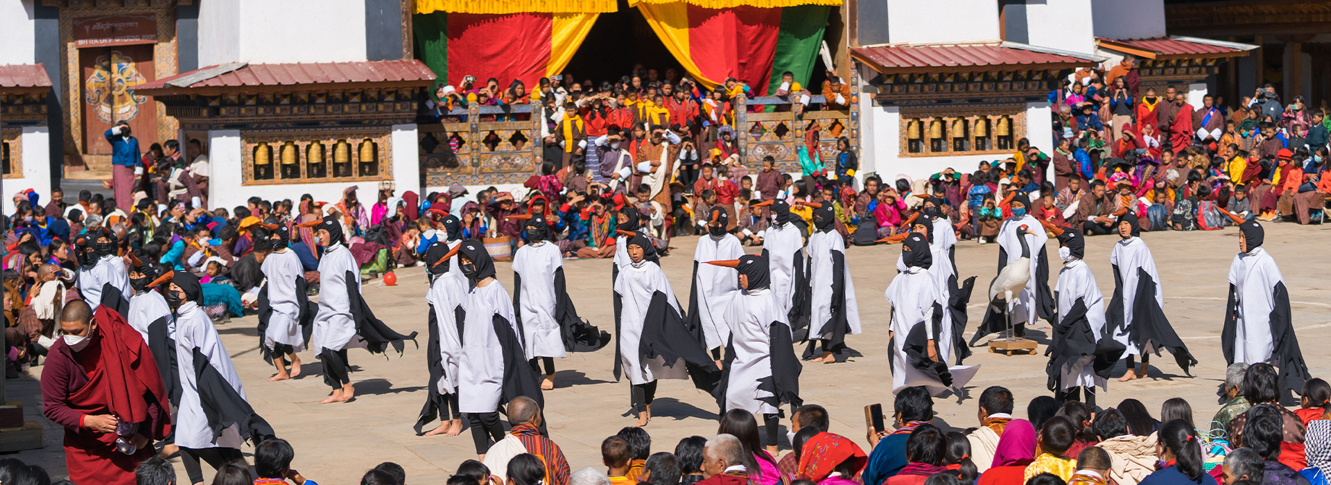 Black-Necked Crane Festival Tour