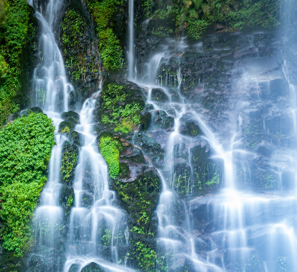 Bhutan Waterfall Wonderland: Rivers, Falls & Forests