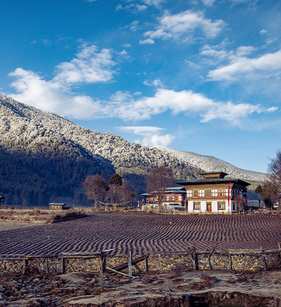 Phobjikha Valley