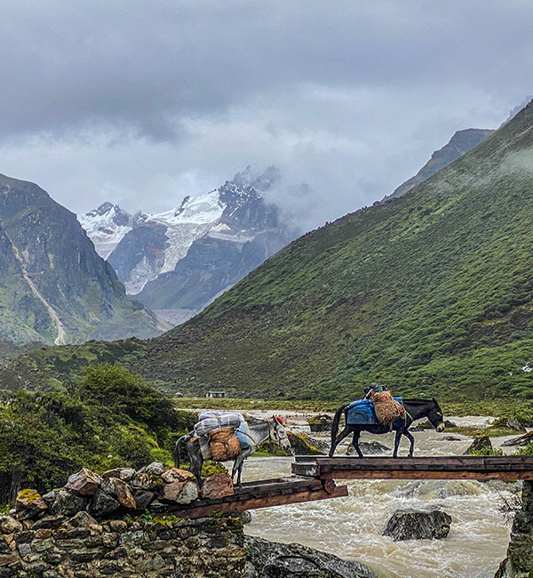 Trekking and Adventure