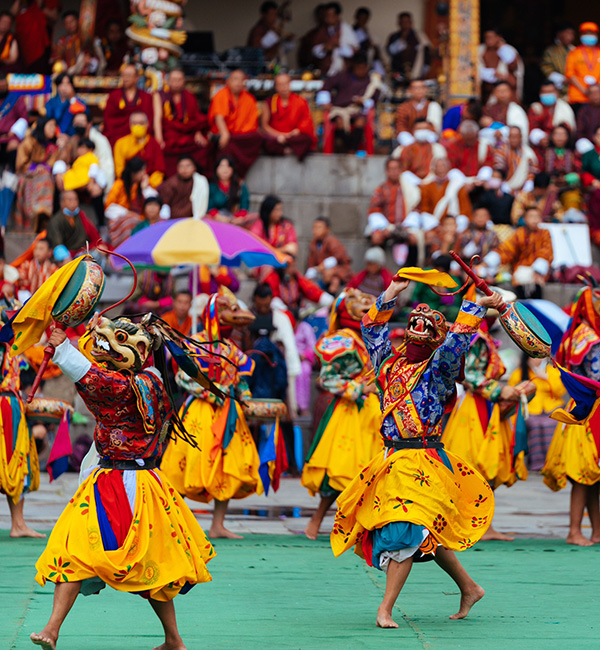 Festival Tours